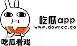 吃瓜网红的网站叫啥来着,揭秘热门八卦背后的秘密